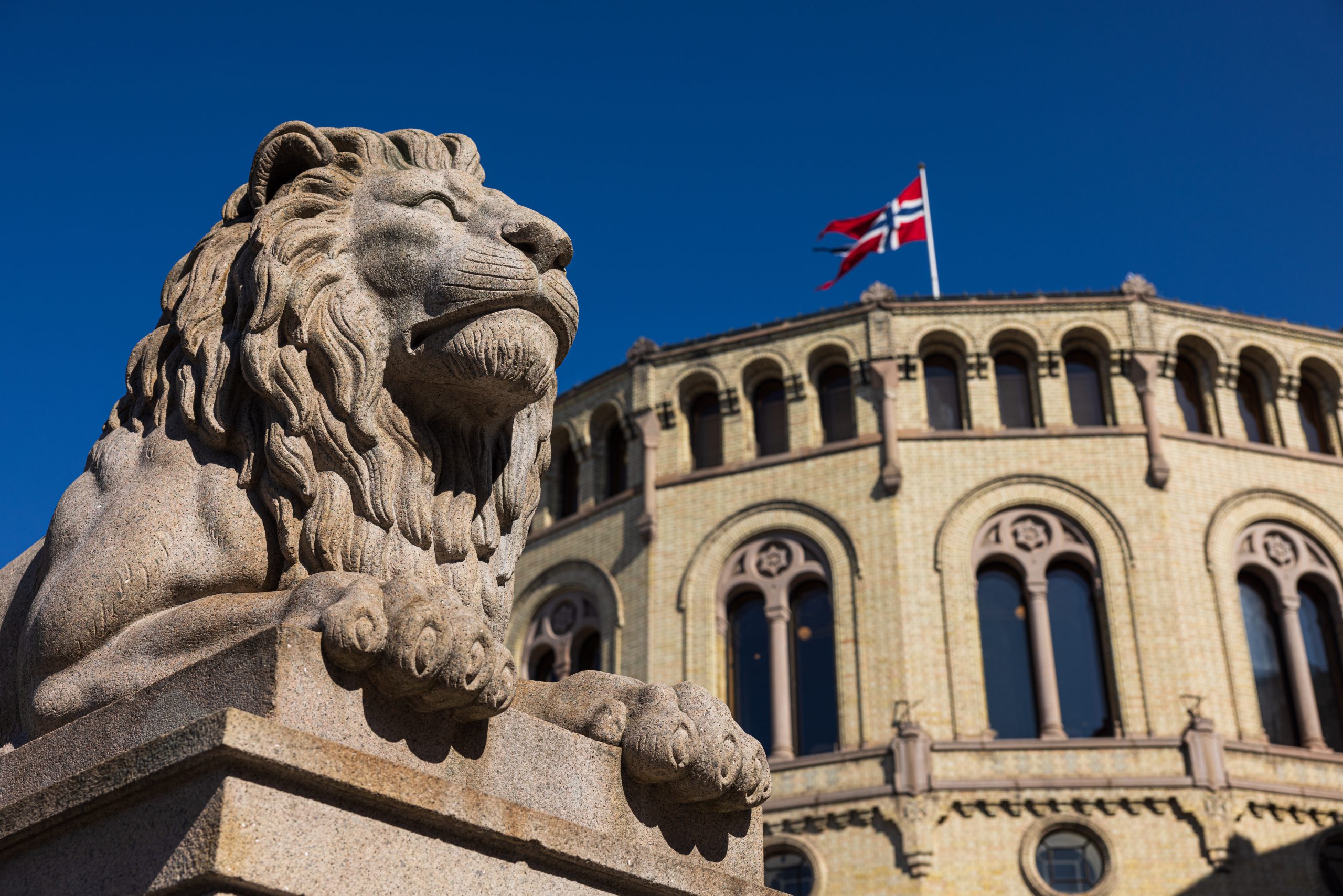 Nærbilde av den ene steinløven foran hovedinngangen til stortinget.